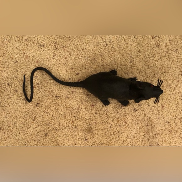 Rat and mouse Life like Halloween decoration rat with mouse, like new or new - Picture 5 of 8